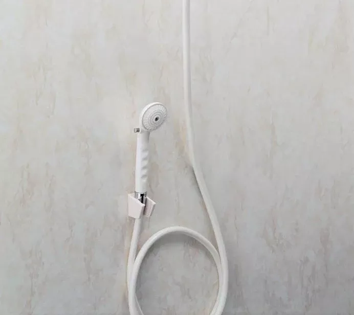 Carex Hand Held Shower Spray