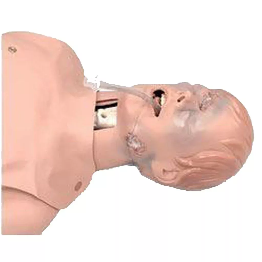 Critical Airway Management Trainer